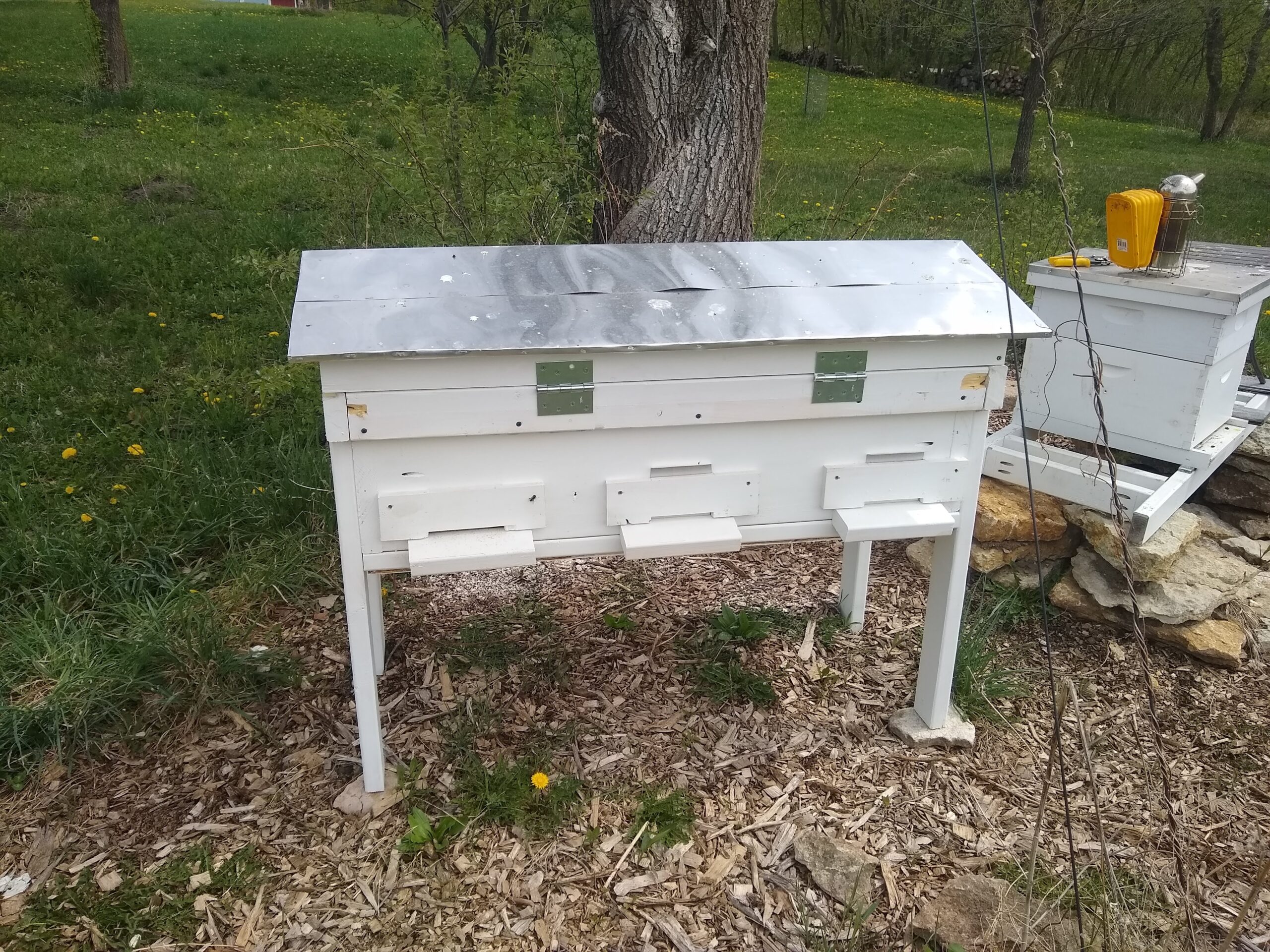Horizontal Honeybee Hive